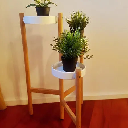 Apartment Luxury *